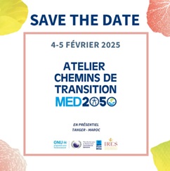 Workshop “Transition Pathways MED2050 in Morocco”