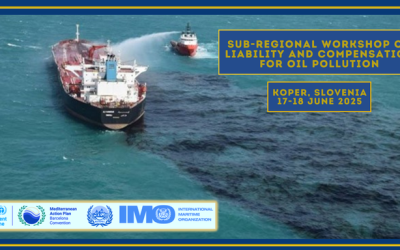 Sub-regional Workshop on Liability and Compensation for Oil Pollution Damage