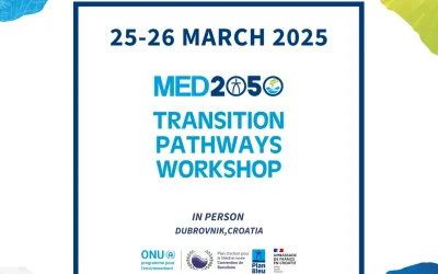 Transition pathways workshop in Croatia