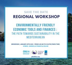 Workshop “Economic Tools and Green Finance”