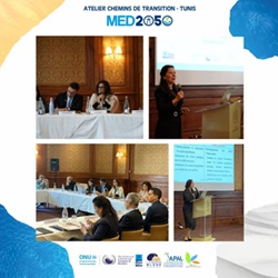 Workshop “Transition Pathways MED2050 in Tunisia”