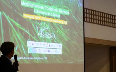 The Mediterranean Posidona Network Seminar 2025 