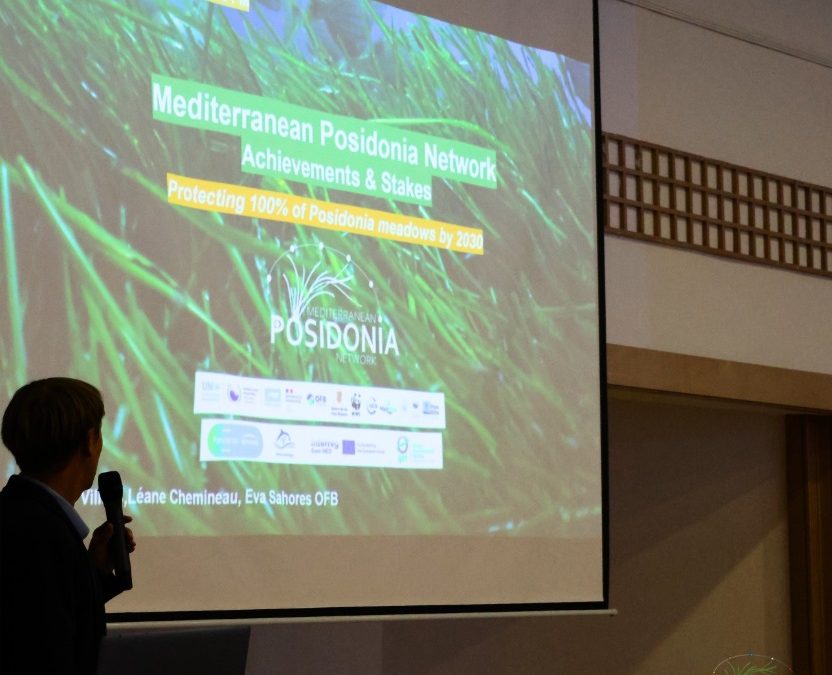 The Mediterranean Posidona Network Seminar 2025 