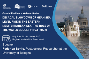 Decadal slowdown of mean sea level rise in the Eastern Mediterranean Sea: the role of the water budget (1993–2022)