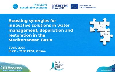Boosting synergies for innovative solutions in water management, depollution and restoration in the Mediterranean Basin