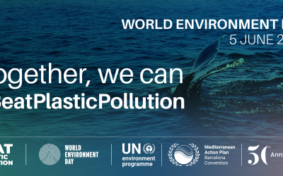 World Environment Day 2025 – 5 June 2025
