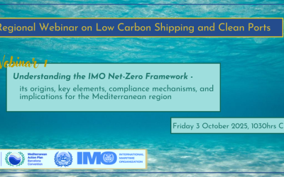 IMO Net-Zero Framework