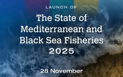 The State of Mediterranean and Black Sea Fisheries 2025