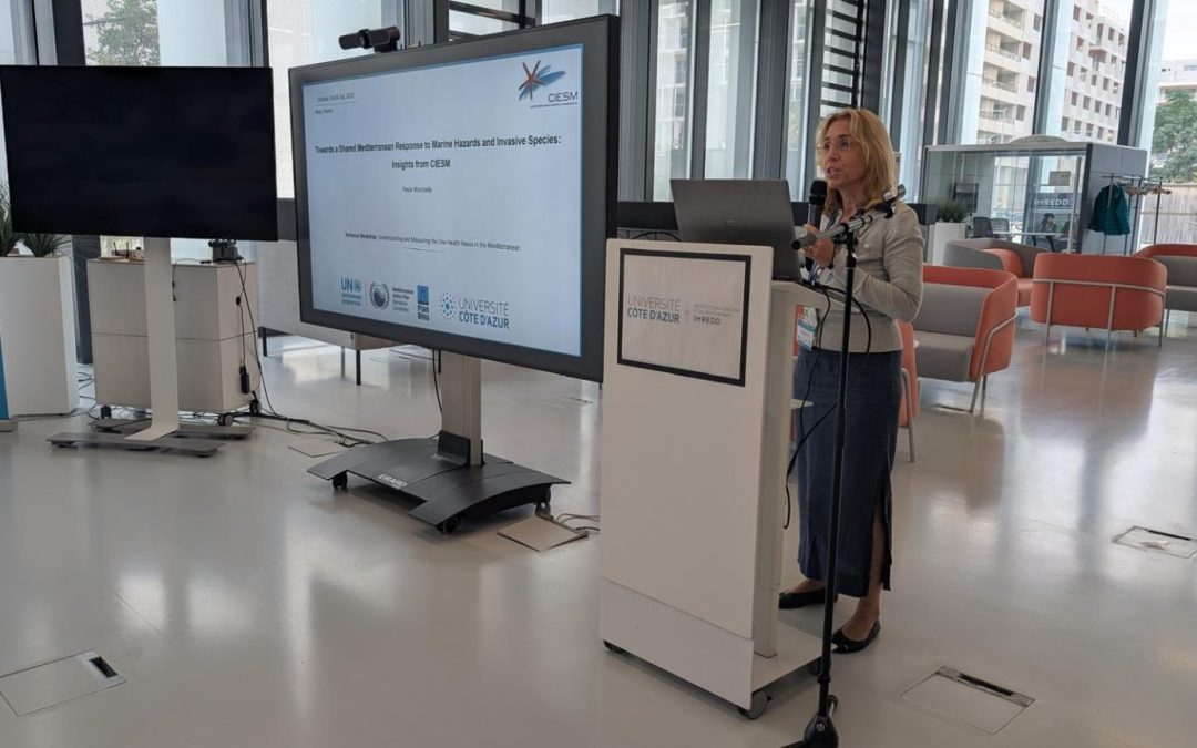 Workshop “Understanding and measuring the One Health nexus in the Mediterranean”