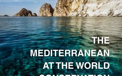 The Mediterranean at the IUCN World Conservation Congress 2025
