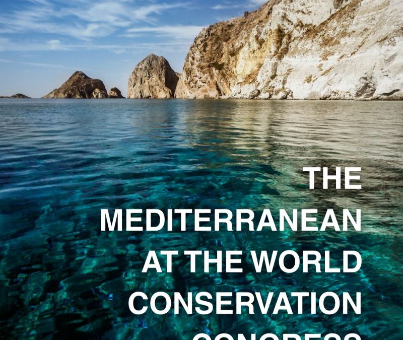 The Mediterranean at the IUCN World Conservation Congress 2025