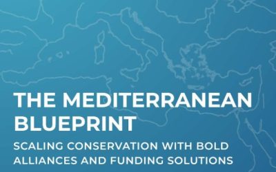 The Mediterranean Blueprint: Scaling conservation with bold alliances and funding solutions