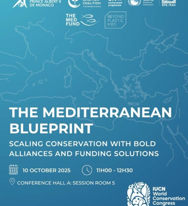 The Mediterranean Blueprint: Scaling conservation with bold alliances and funding solutions