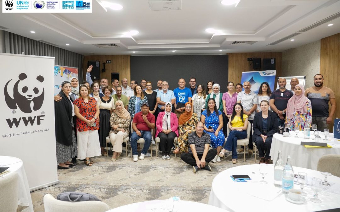 Sub-Regional Workshop – The conservation and management of sharks and rays in the Mediterranean