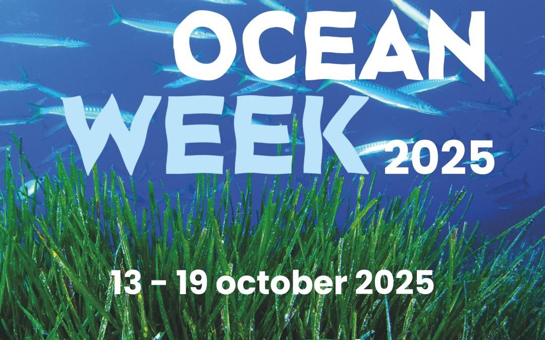 Ocean Week 2025