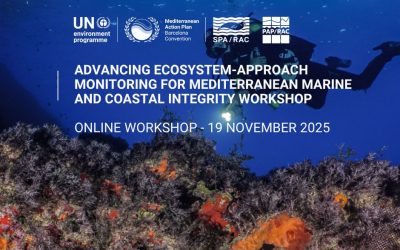 Advancing Ecosystem-Approach Monitoring for Mediterranean Marine and Coastal Integrity Workshop
