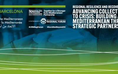 Regional resilience and recovery: advancing collective responses to crisis