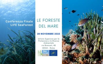 Final Conference of the LIFE SeaForest Project