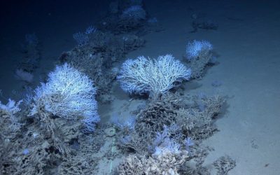 ISPRA: the sea for common wellbeing