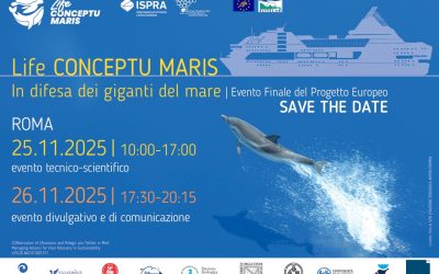 The Final Event of LIFE Conceptu Maris