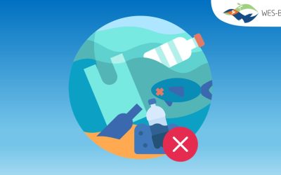 WES-BCA Activity: C1_REG-4