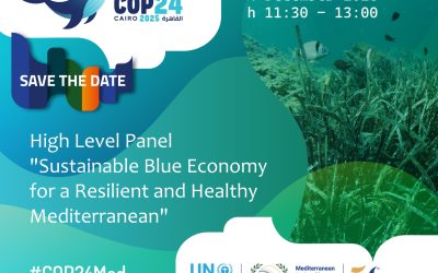 COP24 High-Level Panel on Sustainable Blue Economy for a Resilient and Healthy Mediterranean 