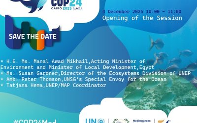 COP24 Session Opening