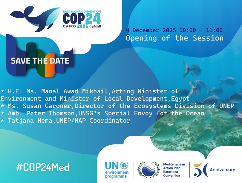 COP24 Session Opening