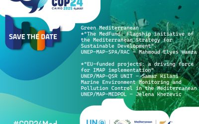 COP24 Side Events