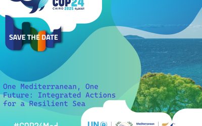 COP24 Side Event “One Mediterranean, One Future: Integrated Actions for a Resilient Sea”
