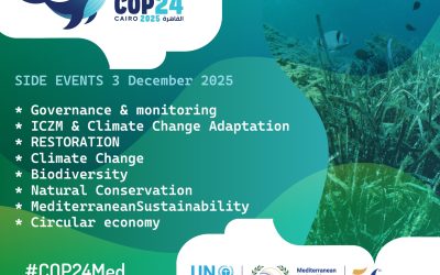 COP24: Side Events – 3 December 2025