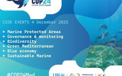 COP24:  Side Event – 4 December 2025