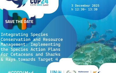 COP24 Side Event “Integrating Species Conservation and Resource Management : Implementing the Species Action Plans for Cetaceans and Sharks & Rays towards Target 4”