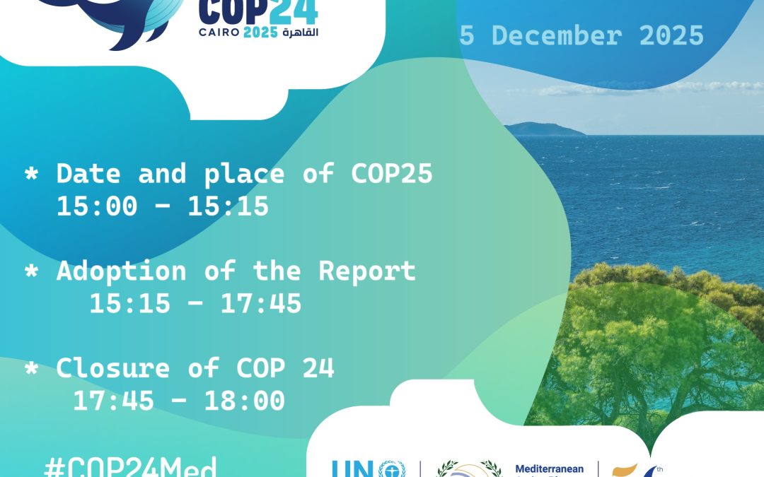 COP24 – Closing Day