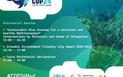 COP24 Ministerial Session