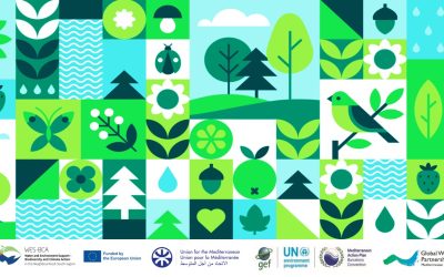 Advancing Water-Energy-Food-Ecosystems Nexus (WEFE) with emphasis on governance, policy and institutional arrangements: Towards an Action Framework