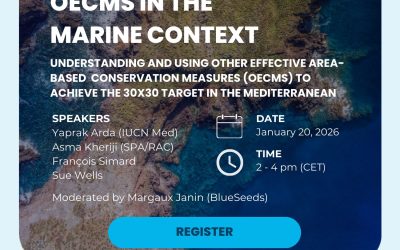 OECMS IN THE MARINE CONTEXT