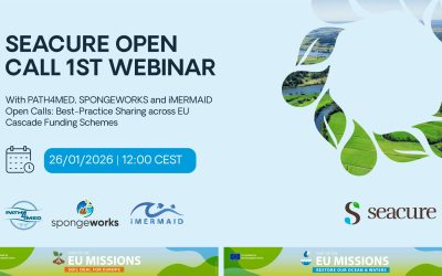 SEACURE Open Call 1st Webinar: With PATH4MED Open Call and Best-Practice Sharing across EU Cascade Funding Calls