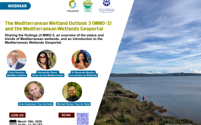 The Mediterranean Wetland Outlook 3 (MWO-3) and the Mediterranean Wetlands Geoportal