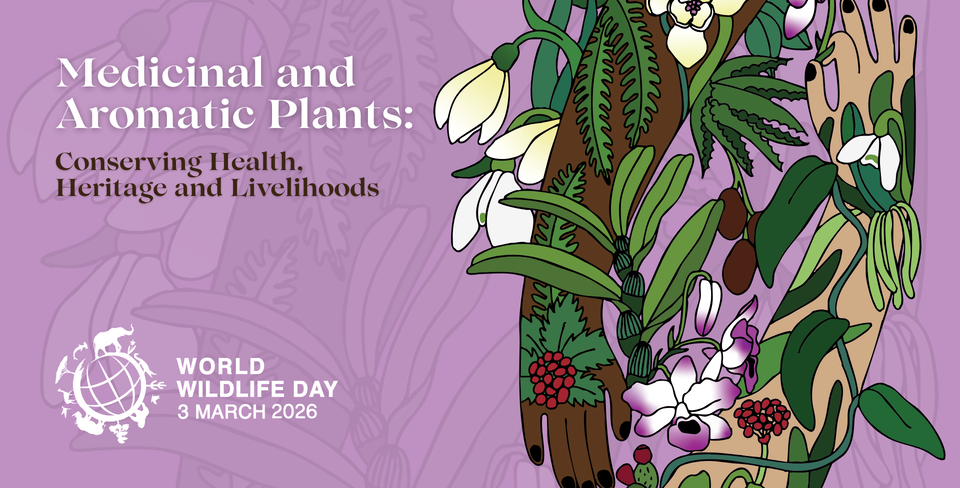 World Wildlife Day 2026
