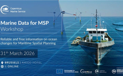 Marine Data for Maritime Spatial Planning (MSP)