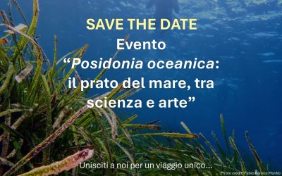 Posidonia oceanica: the sea meadow, between science and art
