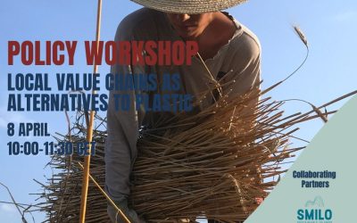The 4th REMEDIES Policy Workshop on Local Value Chains as Alternatives to Plastic