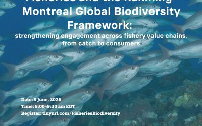 Fisheries and the Kunming-Montreal Global Biodiversity Framework:trengthening engagement across fishery value chains, from catch to consumers