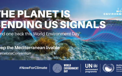 Happy World Environment Day!