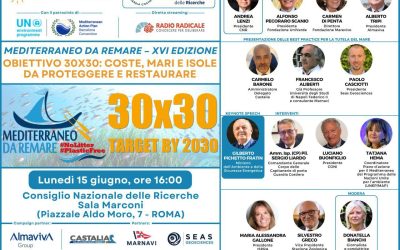 16th Edition of Mediterraneo da remare #PlasticFree #NoLitter