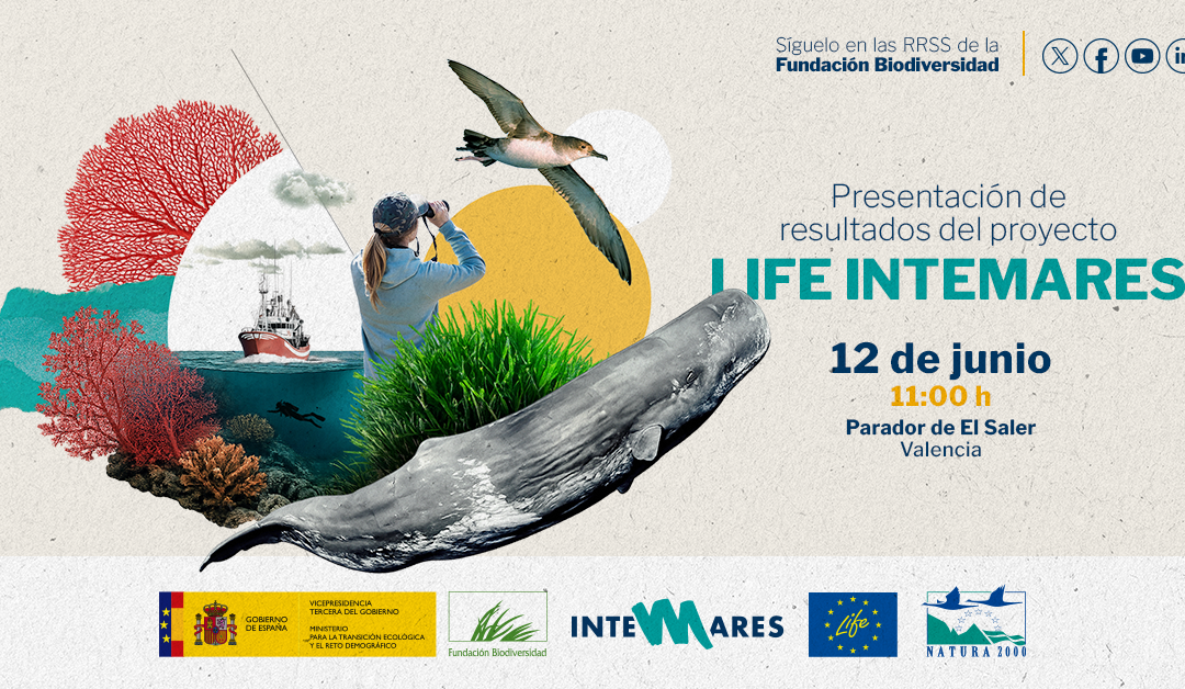 Presentation of the LIFE INTEMARES Project Results