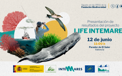 Presentation of the LIFE INTEMARES Project Results