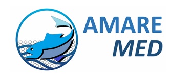 AMARE-MED 2026