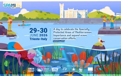 SPAMI DAY 2026